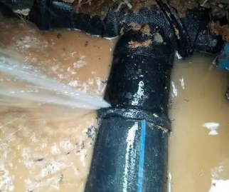 凤城测漏水公司哪家好